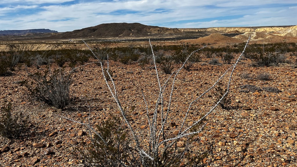 14110 San Angelo, Terlingua, Texas image 13