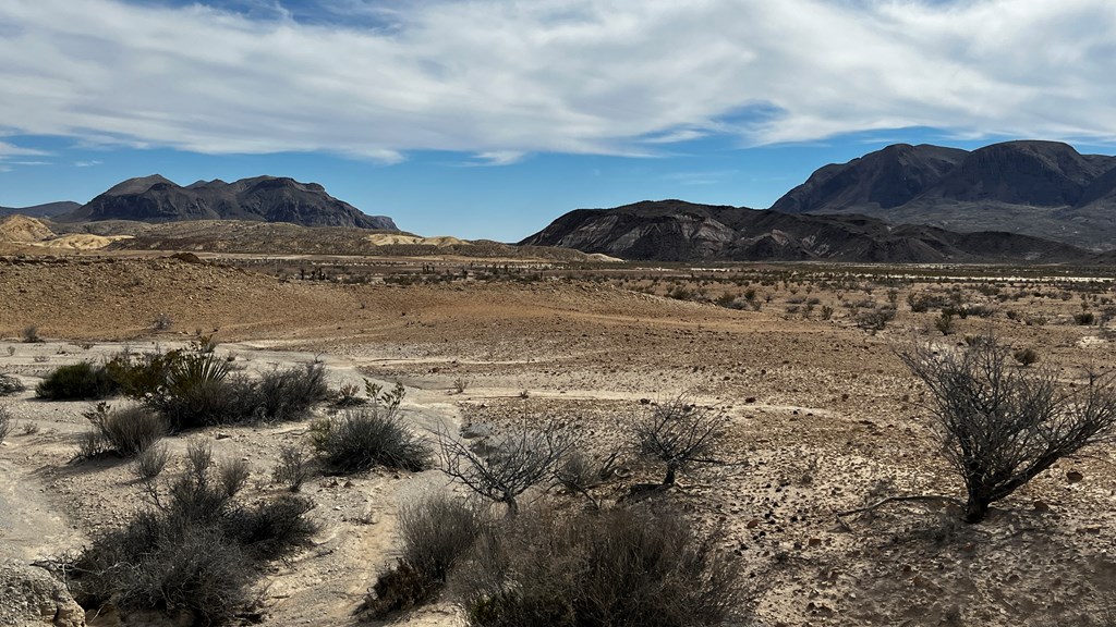 14110 San Angelo, Terlingua, Texas image 5