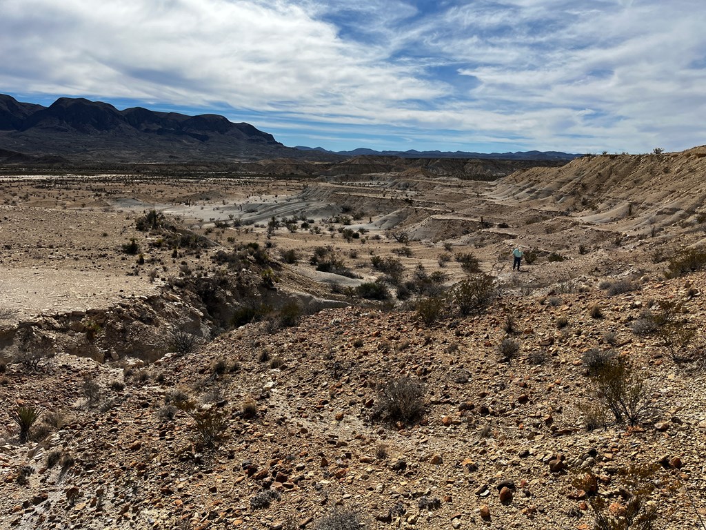 14110 San Angelo, Terlingua, Texas image 9