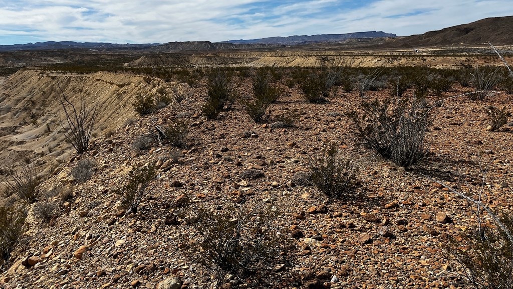 14110 San Angelo, Terlingua, Texas image 14