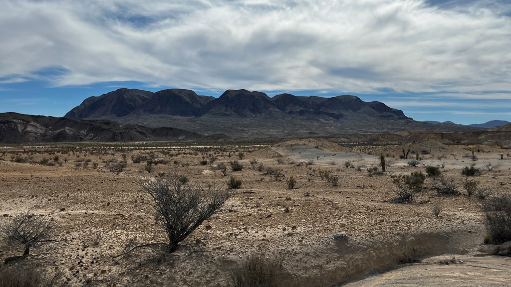 14110 San Angelo, Terlingua, Texas image 4