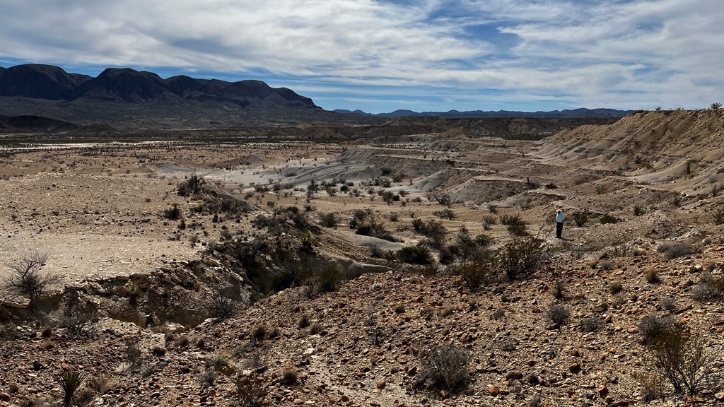 14110 San Angelo, Terlingua, Texas image 10