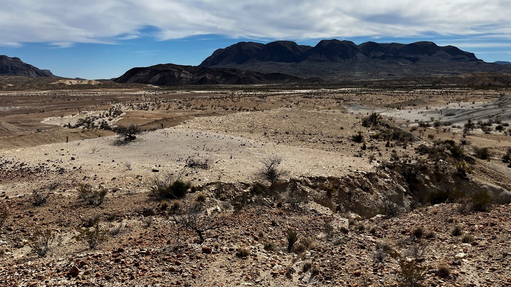 14110 San Angelo, Terlingua, Texas image 11