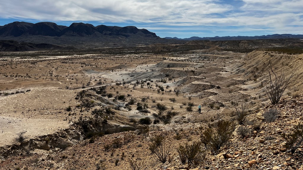 14110 San Angelo, Terlingua, Texas image 15