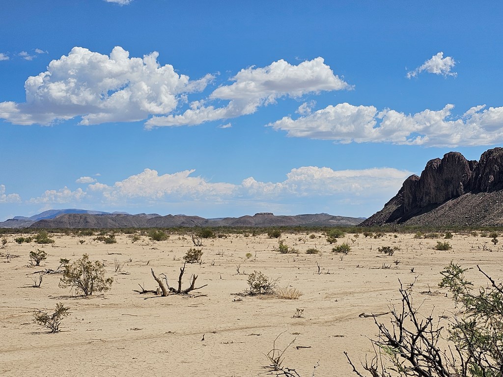 G160 Spock Rd, Terlingua, Texas image 7