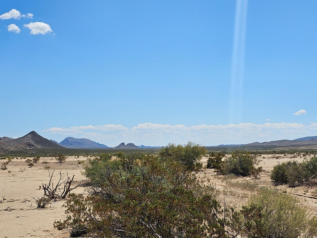 G160 Spock Rd, Terlingua, Texas image 10