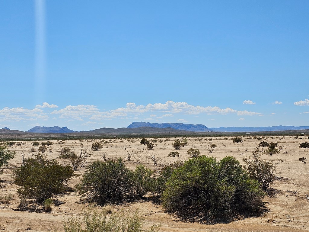 G160 Spock Rd, Terlingua, Texas image 8