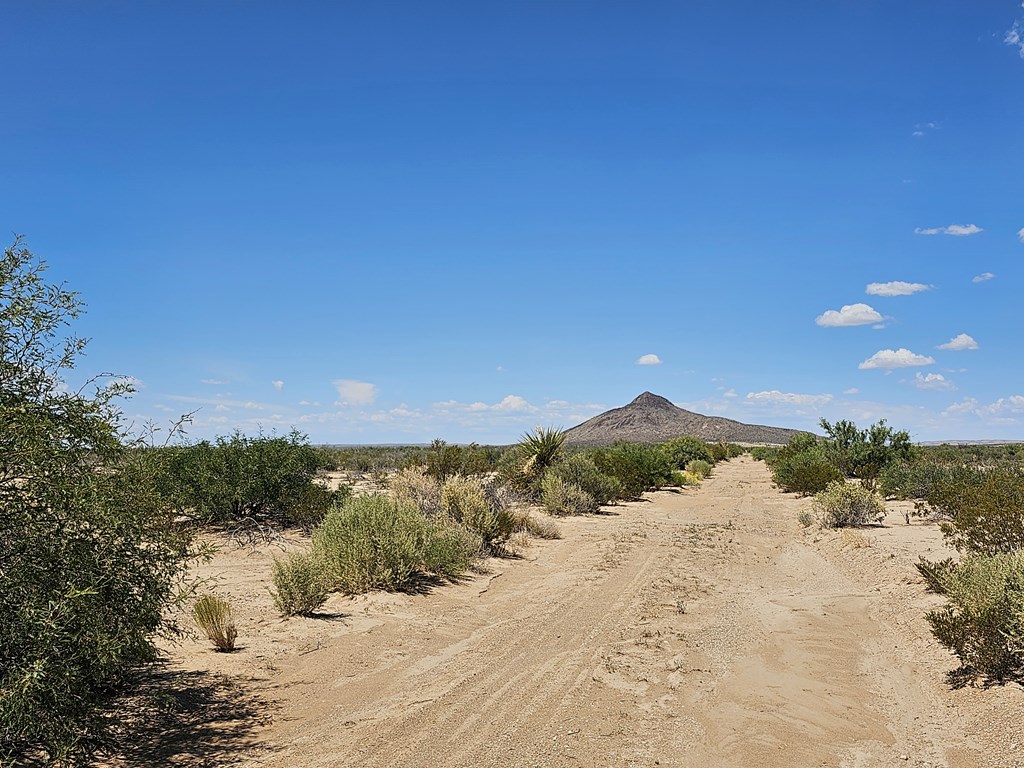 G160 Spock Rd, Terlingua, Texas image 15