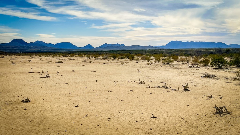 15466 San Antonio Ave, Terlingua, Texas image 8