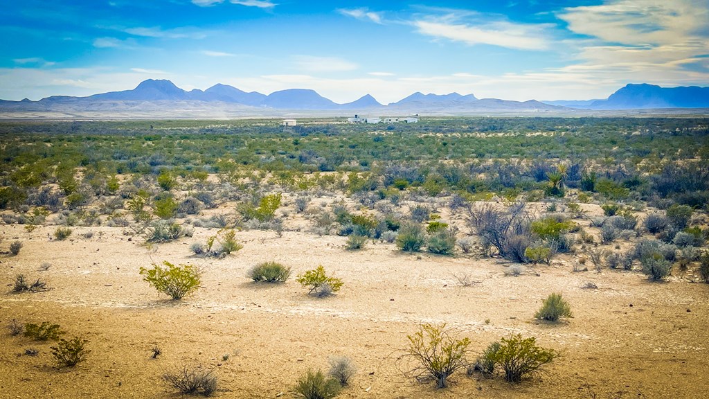 15466 San Antonio Ave, Terlingua, Texas image 3