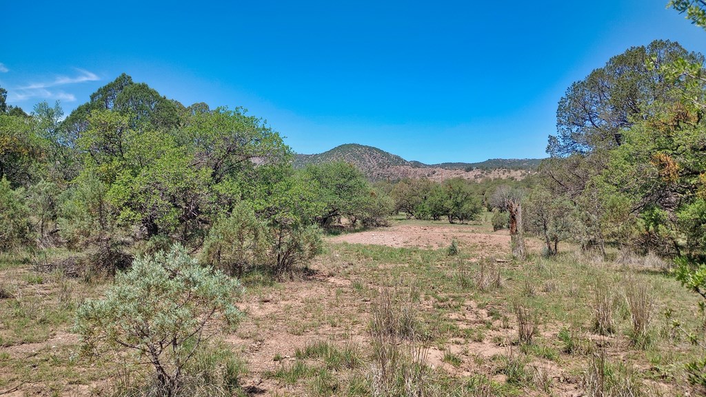 103 Colleen Canyon Trail, Fort Davis, Texas image 5