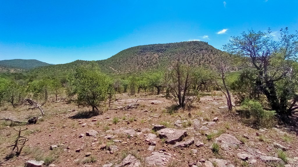 103 Colleen Canyon Trail, Fort Davis, Texas image 11