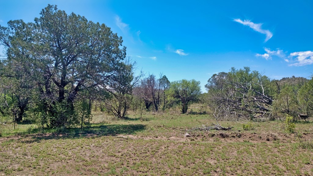 103 Colleen Canyon Trail, Fort Davis, Texas image 2