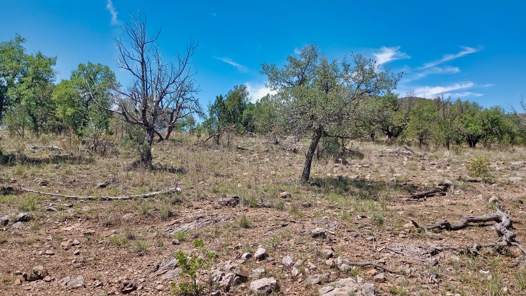 103 Colleen Canyon Trail, Fort Davis, Texas image 10