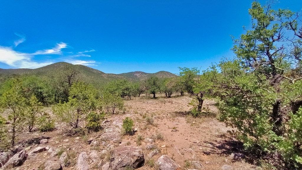 103 Colleen Canyon Trail, Fort Davis, Texas image 15