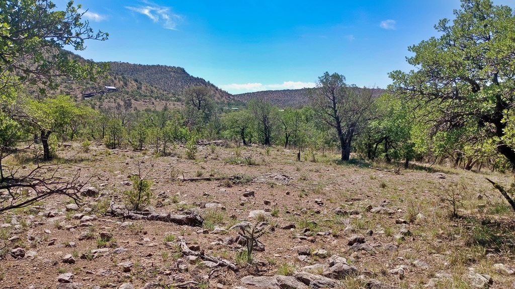 103 Colleen Canyon Trail, Fort Davis, Texas image 17