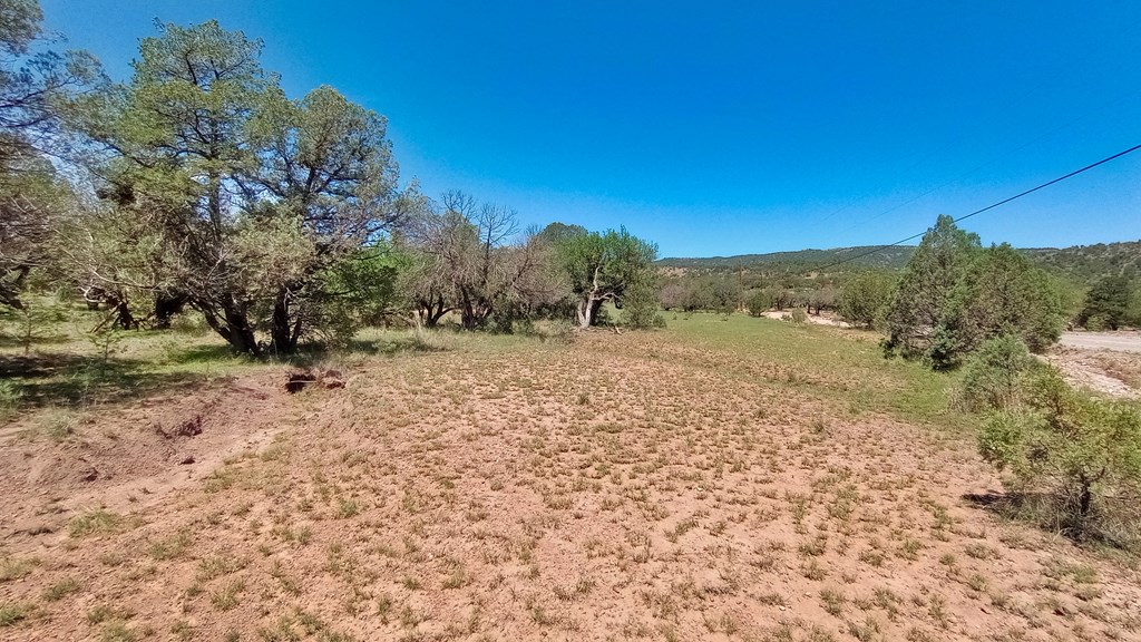 103 Colleen Canyon Trail, Fort Davis, Texas image 4