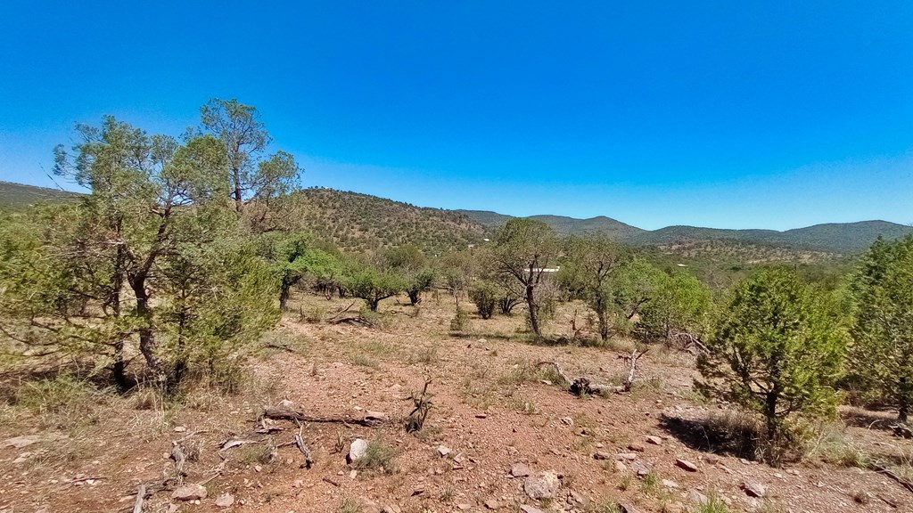 103 Colleen Canyon Trail, Fort Davis, Texas image 12