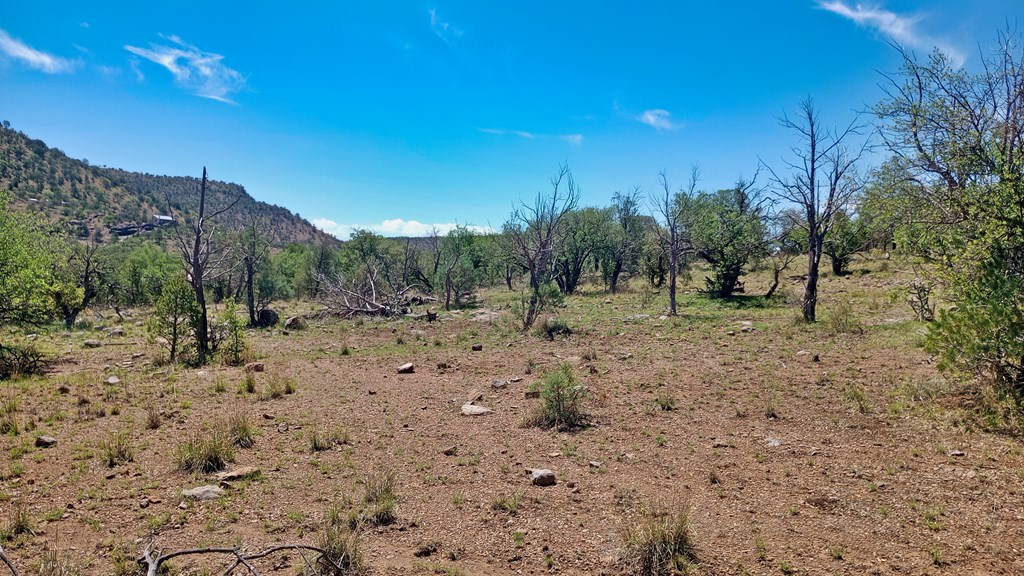 103 Colleen Canyon Trail, Fort Davis, Texas image 9