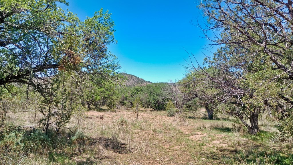 103 Colleen Canyon Trail, Fort Davis, Texas image 8