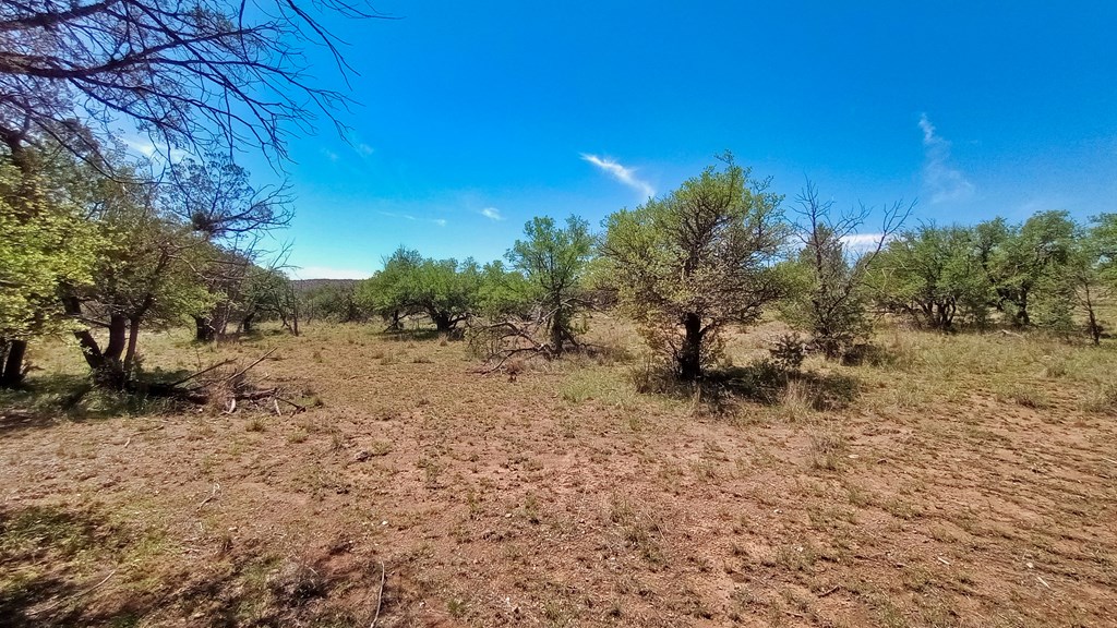 103 Colleen Canyon Trail, Fort Davis, Texas image 7