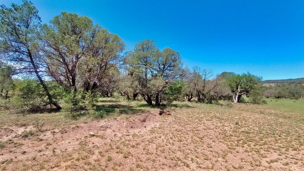 103 Colleen Canyon Trail, Fort Davis, Texas image 3