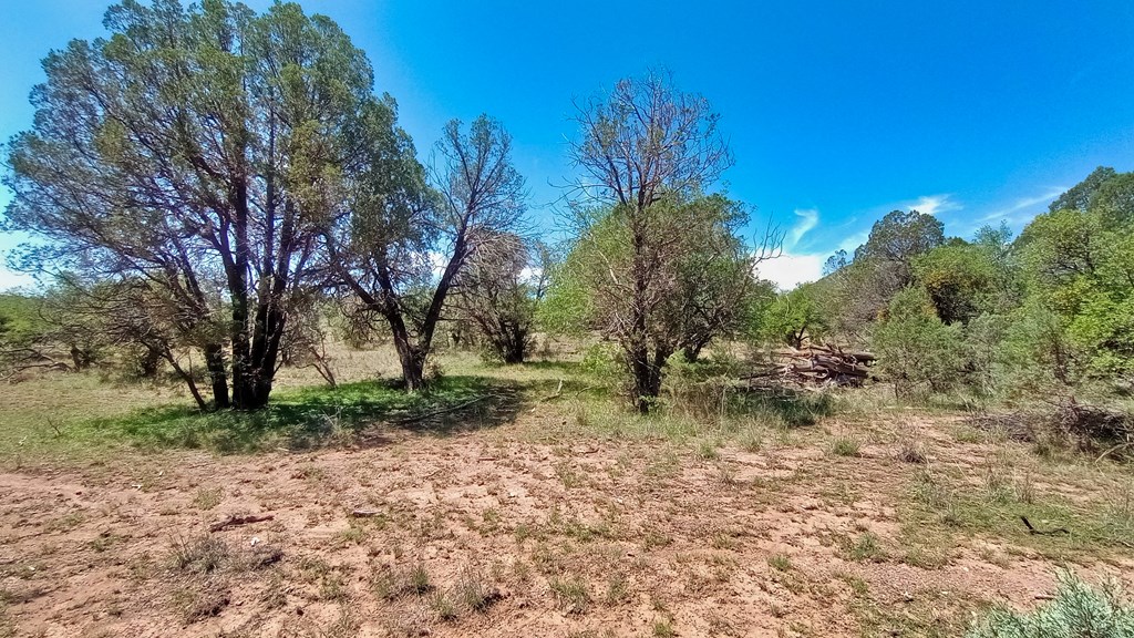 103 Colleen Canyon Trail, Fort Davis, Texas image 6