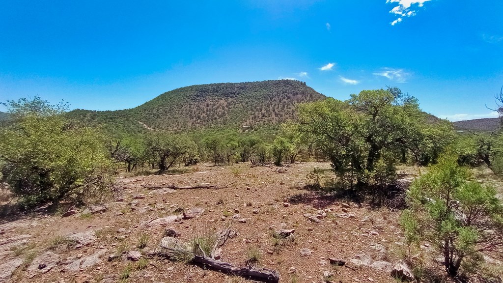 103 Colleen Canyon Trail, Fort Davis, Texas image 13