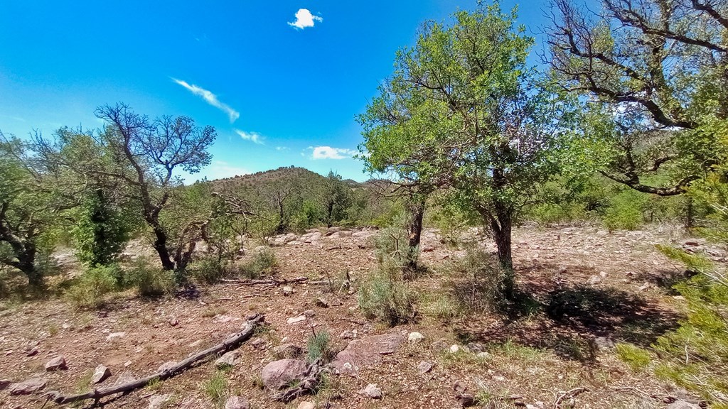 103 Colleen Canyon Trail, Fort Davis, Texas image 14