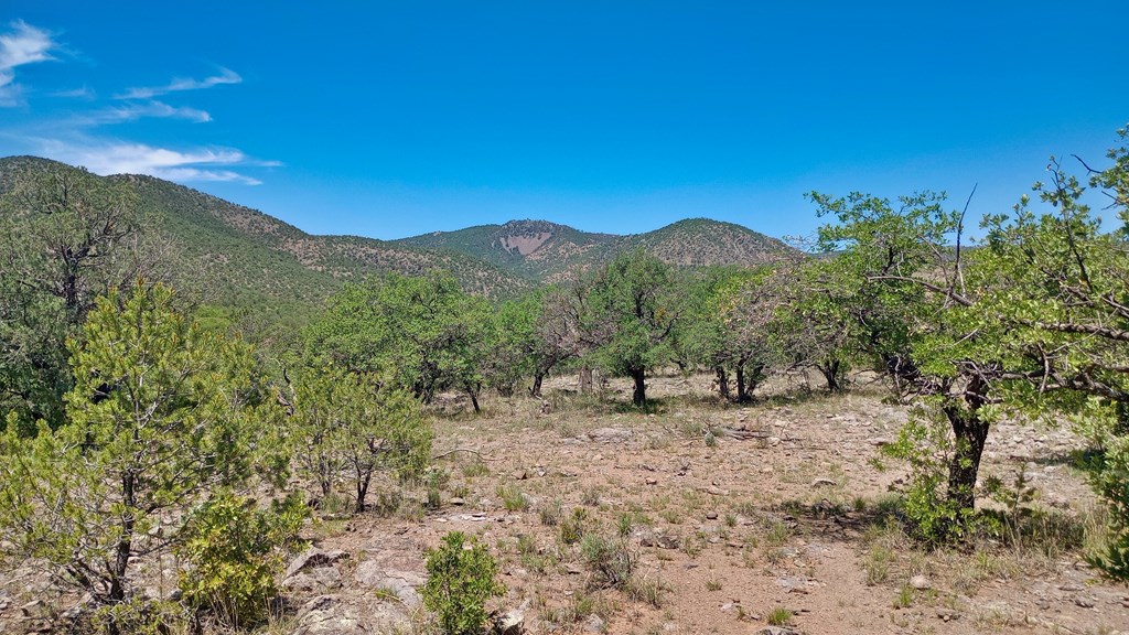 103 Colleen Canyon Trail, Fort Davis, Texas image 16