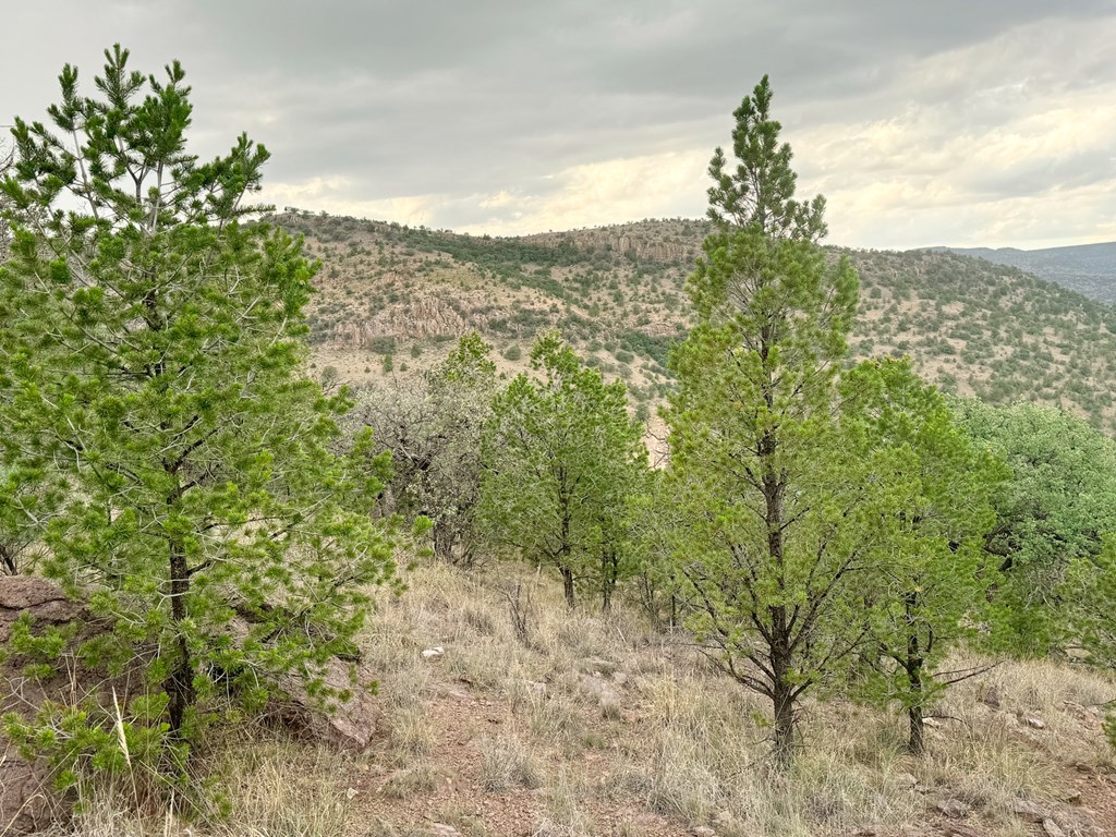 325 High Lonesome Road, Fort Davis, New York image 7