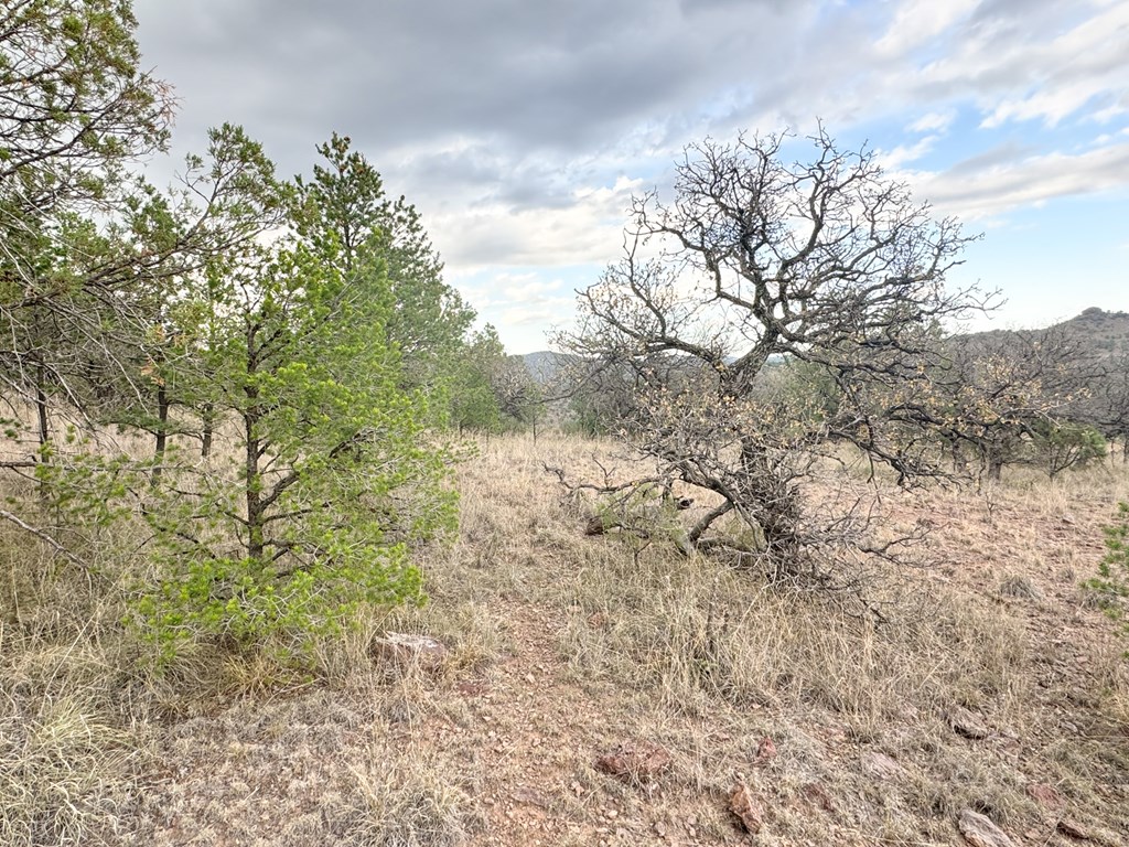 325 High Lonesome Road, Fort Davis, New York image 3