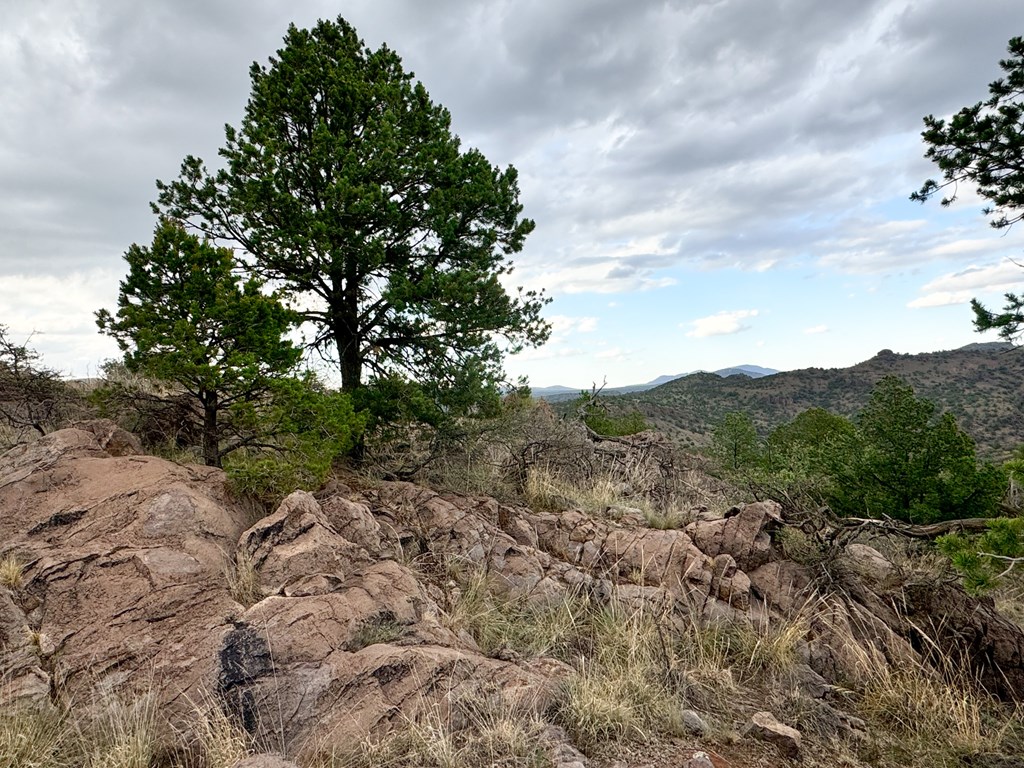 325 High Lonesome Road, Fort Davis, New York image 14