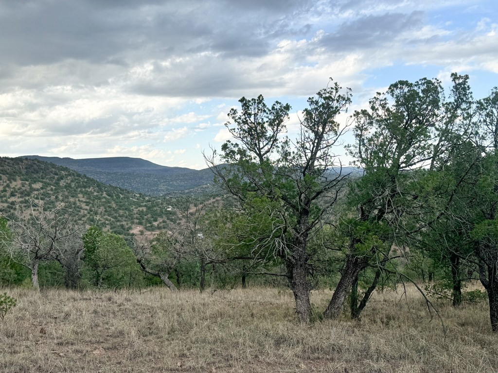 325 High Lonesome Road, Fort Davis, New York image 6