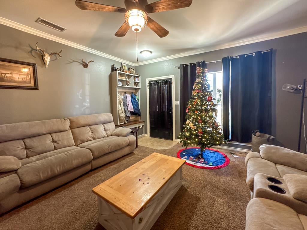 704 NW 8th Place, Andrews, Texas image 5