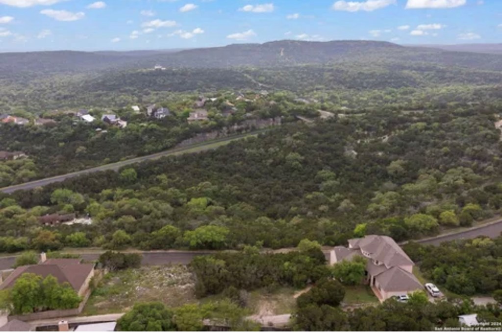 11251 Condor Pass, Helotes, Texas image 2