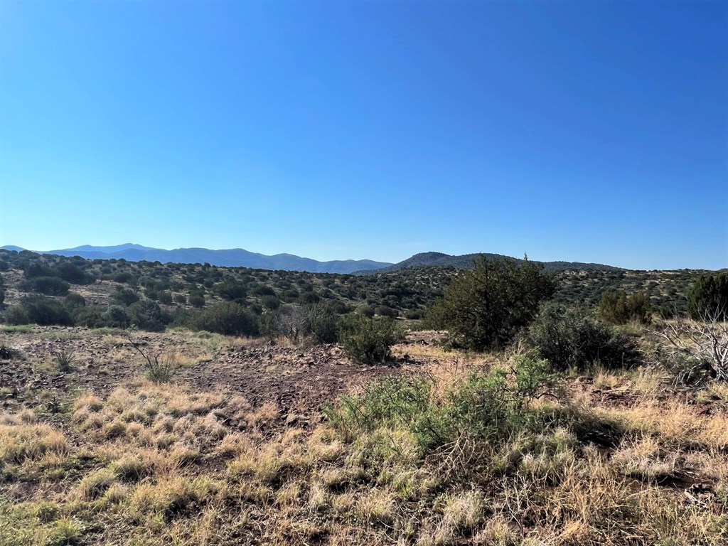 112 Scenic Ridge Drive South, Alpine, Texas image 15