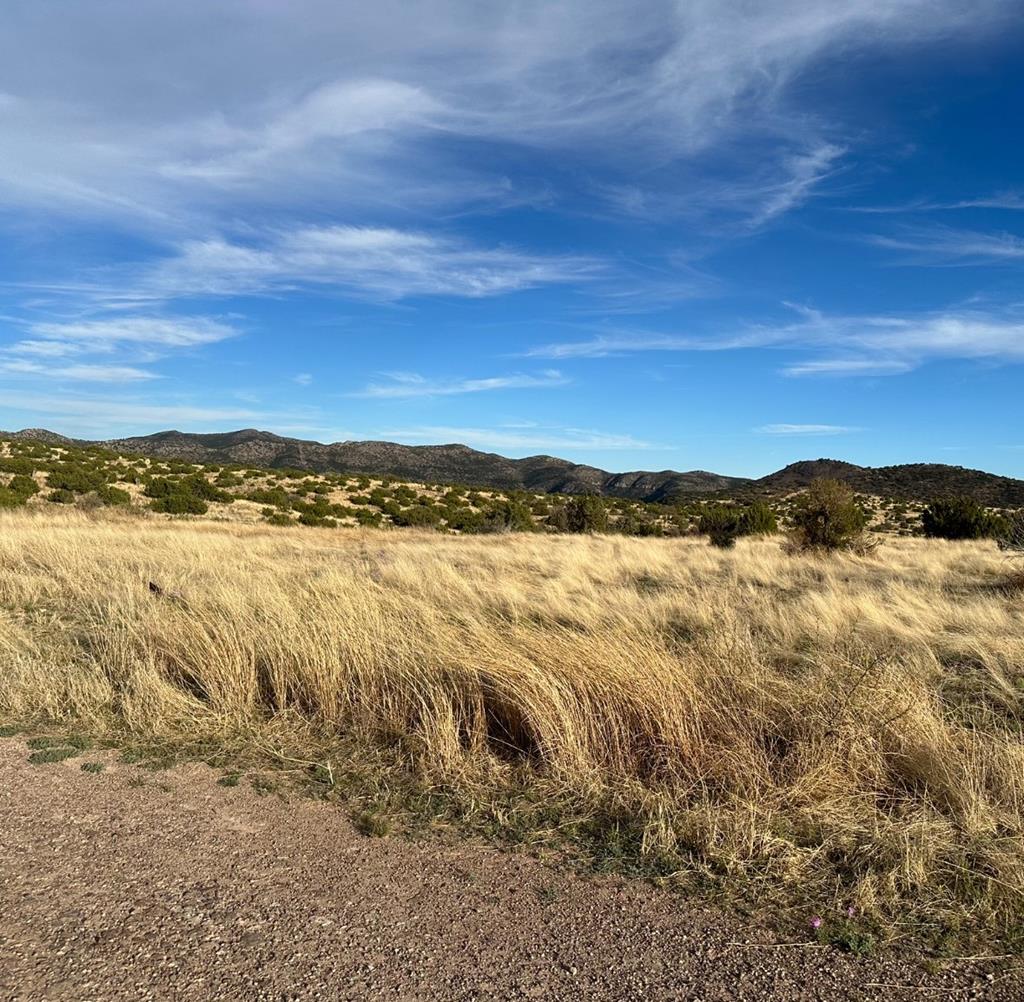 112 Scenic Ridge Drive South, Alpine, Texas image 4