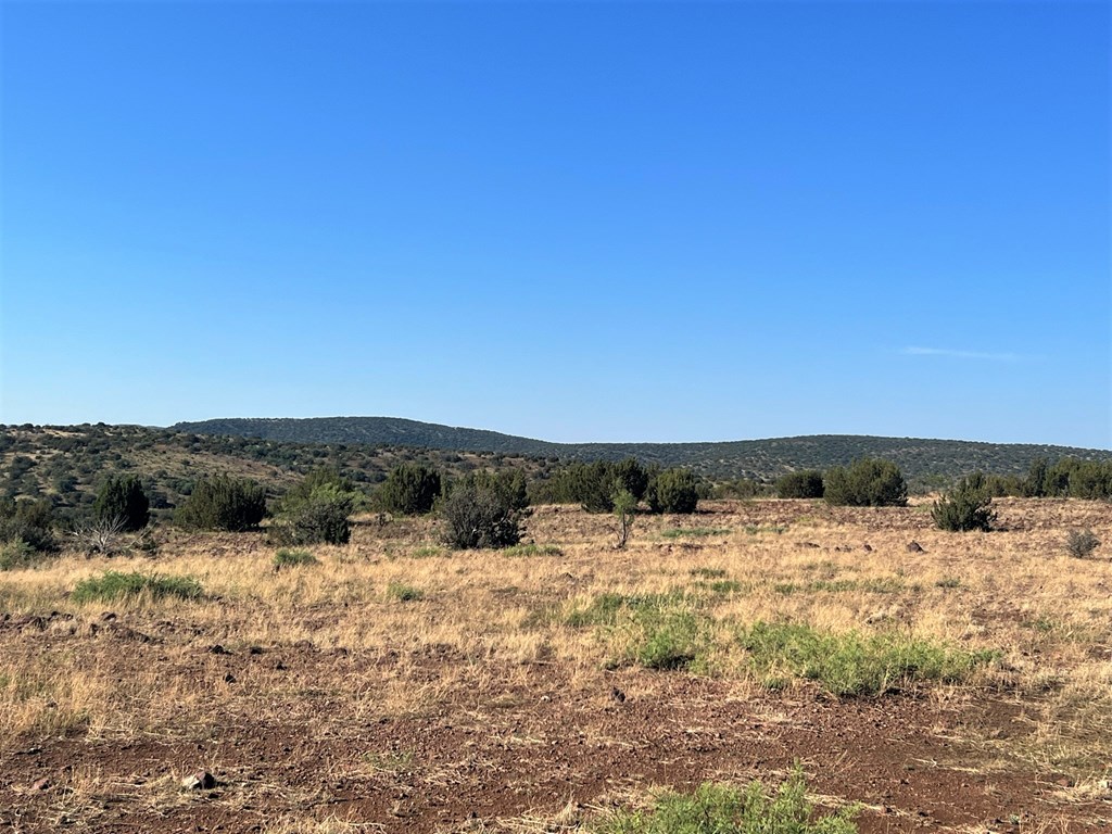 112 Scenic Ridge Drive South, Alpine, Texas image 13