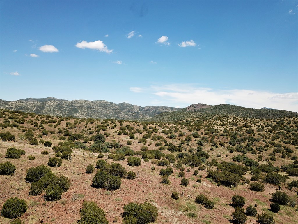 112 Scenic Ridge Drive South, Alpine, Texas image 16