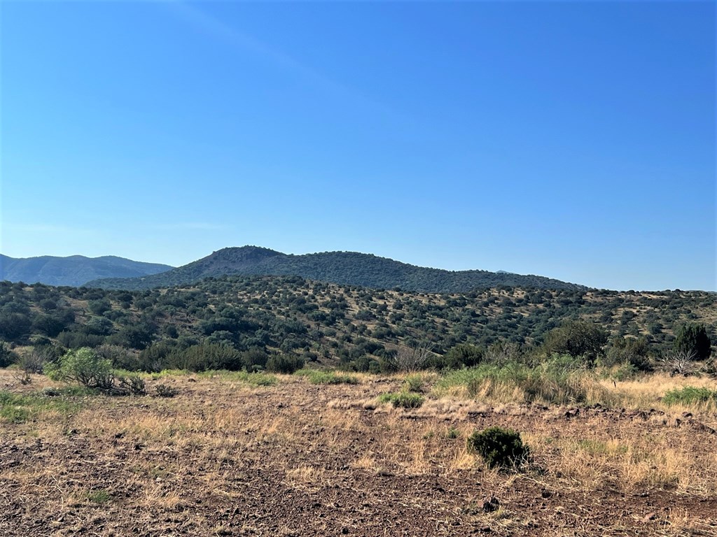 112 Scenic Ridge Drive South, Alpine, Texas image 12