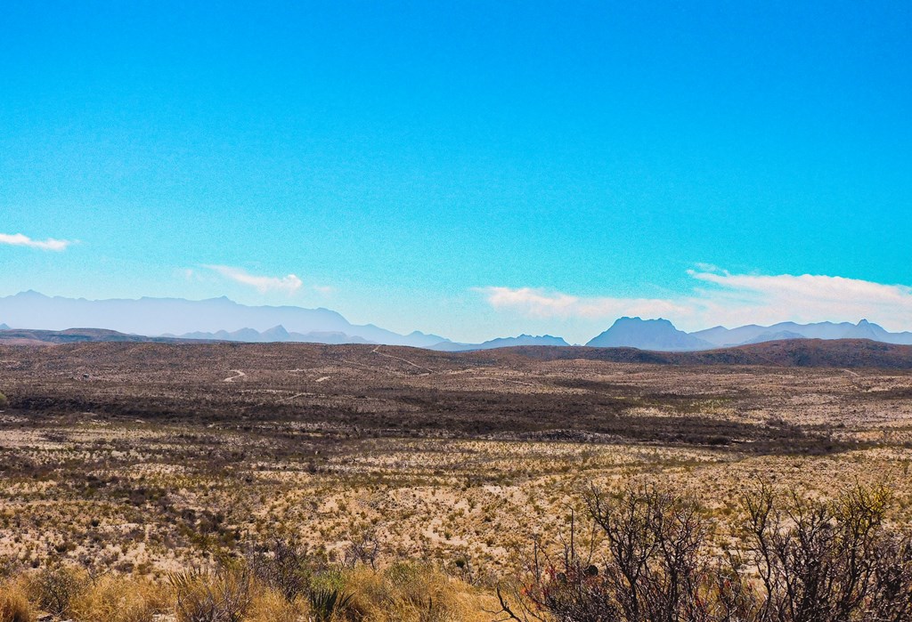 21274 Feldspar St, Terlingua, Texas image 18