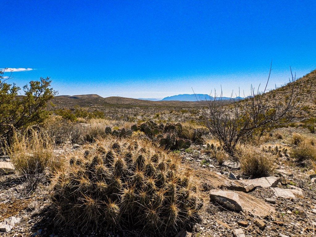 21274 Feldspar St, Terlingua, Texas image 5