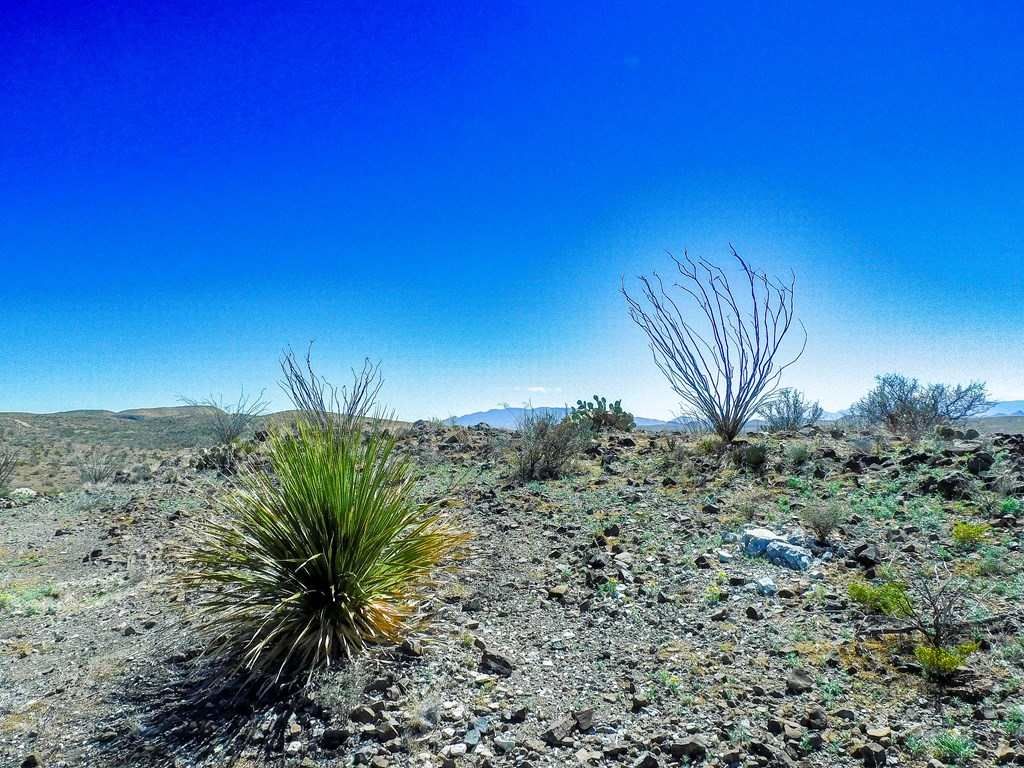 21274 Feldspar St, Terlingua, Texas image 48