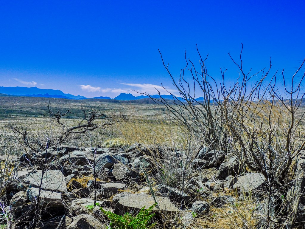 21274 Feldspar St, Terlingua, Texas image 29