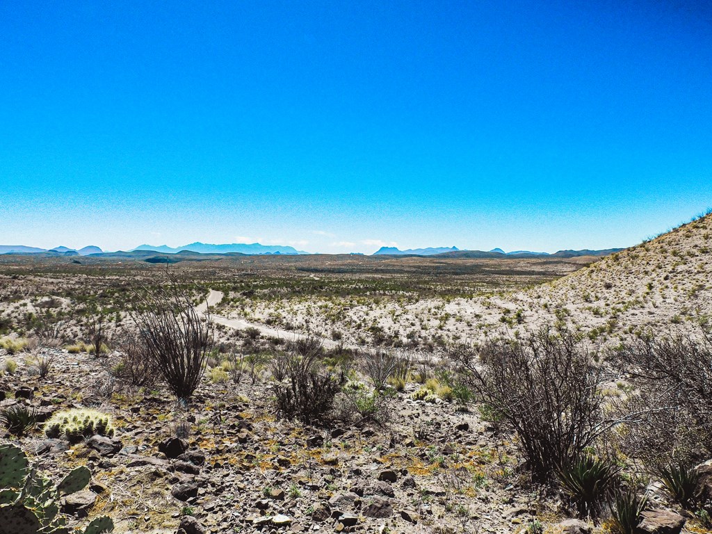 21274 Feldspar St, Terlingua, Texas image 40