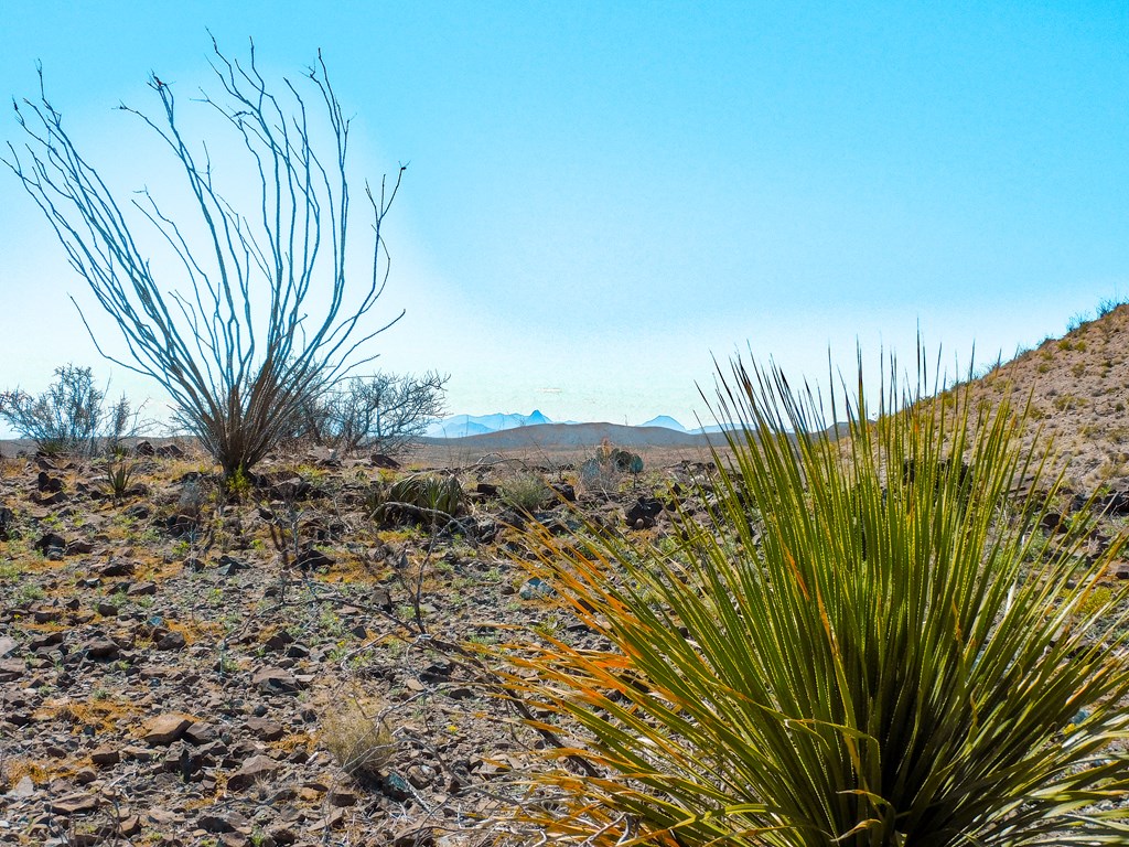 21274 Feldspar St, Terlingua, Texas image 47