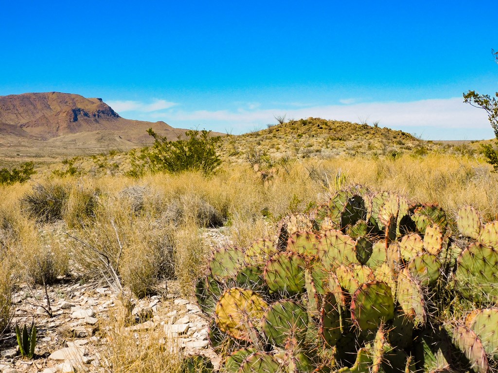 21274 Feldspar St, Terlingua, Texas image 23