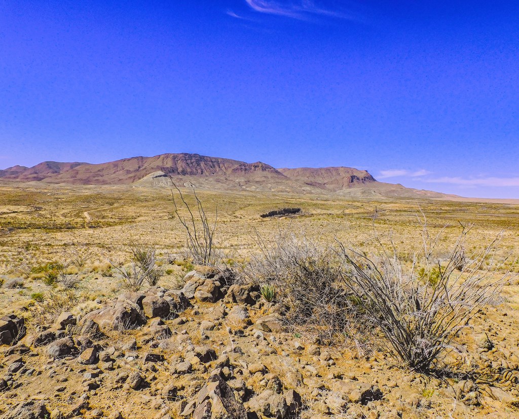 21274 Feldspar St, Terlingua, Texas image 34