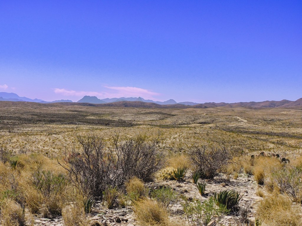 21274 Feldspar St, Terlingua, Texas image 15